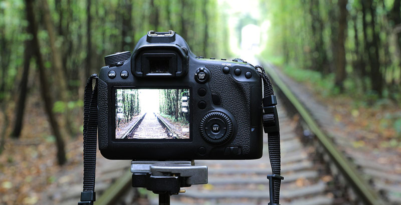 Filmmaking & Animation
